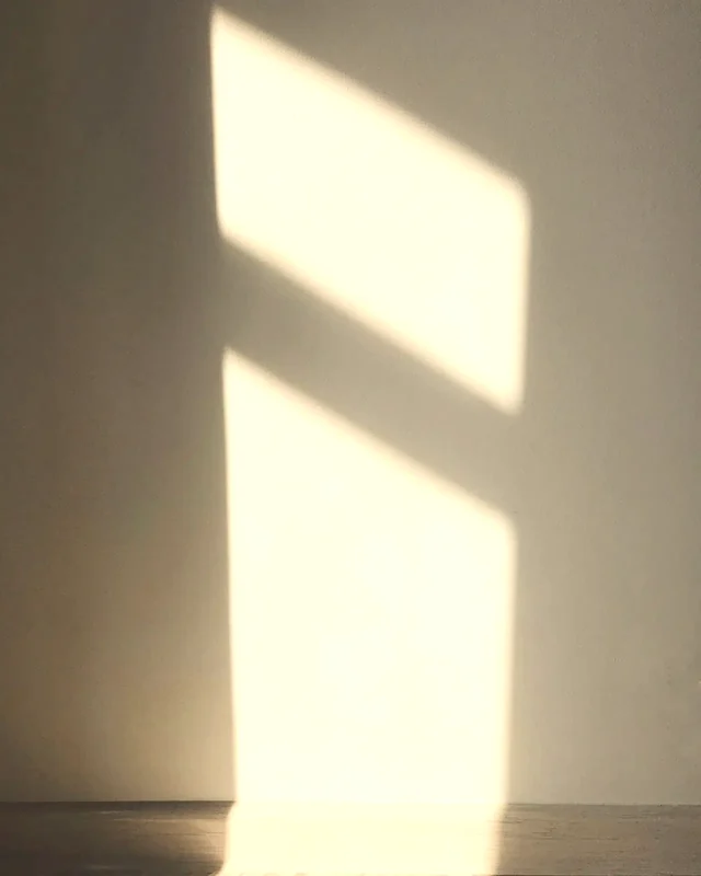 Afternoon sunlight falling on a plain wall.